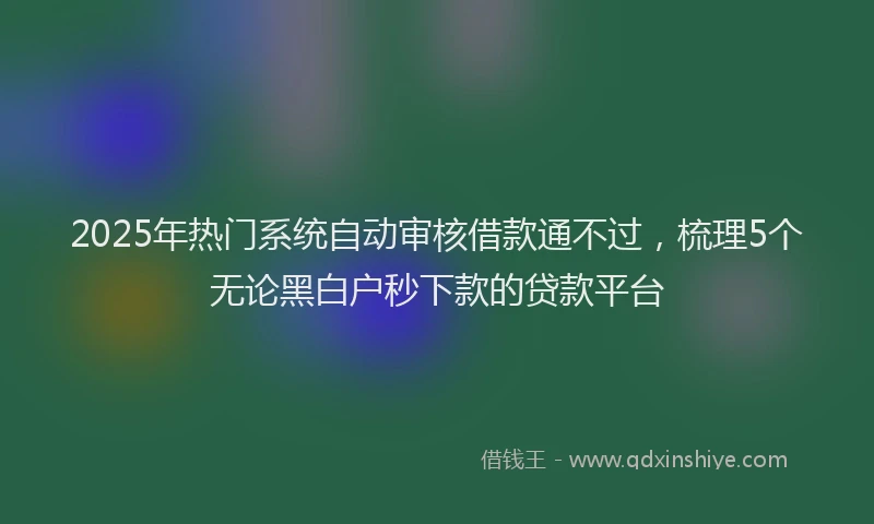 2025年热门系统自动审核借款通不过，梳理5个无论黑白户秒下款的贷款平台