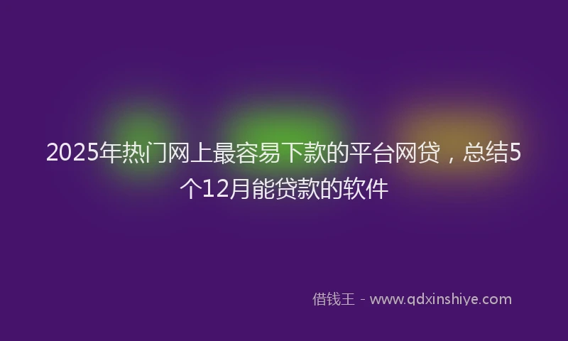 2025年热门网上最容易下款的平台网贷，总结5个12月能贷款的软件