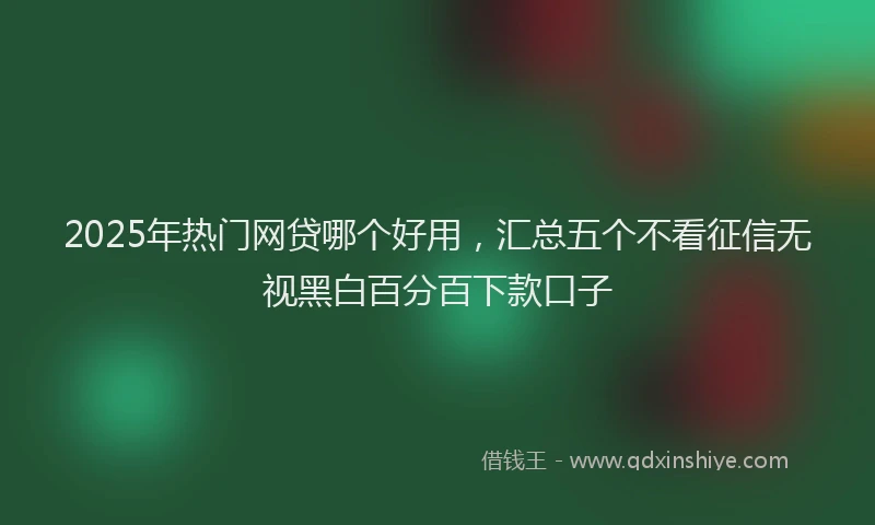 2025年热门网贷哪个好用，汇总五个不看征信无视黑白百分百下款口子
