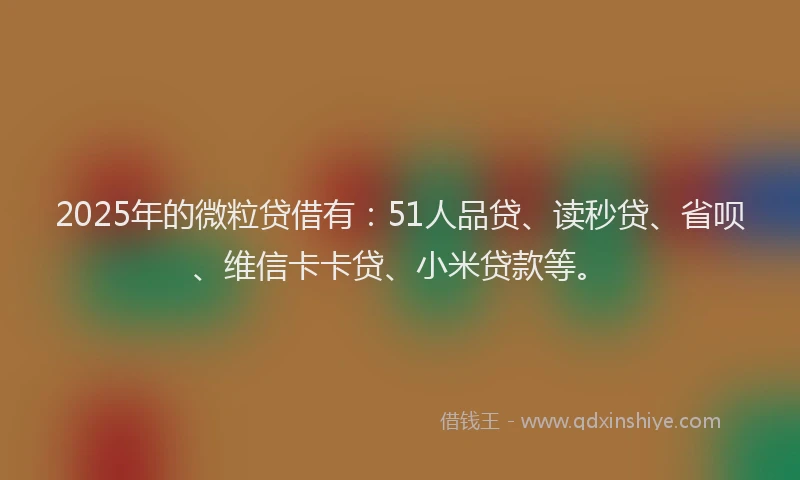 2025年的微粒贷借有：51人品贷、读秒贷、省呗、维信卡卡贷、小米贷款等。
