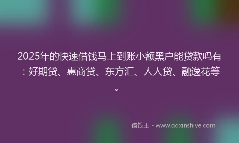 2025年的快速借钱马上到账小额黑户能贷款吗有：好期贷、惠商贷、东方汇、人人贷、融逸花等。