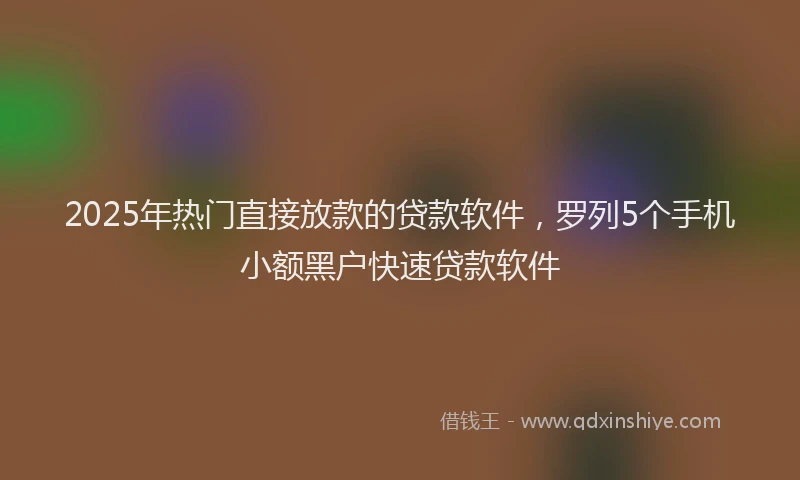 2025年热门直接放款的贷款软件，罗列5个手机小额黑户快速贷款软件