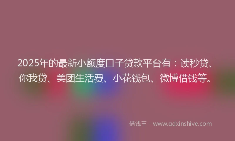 2025年的最新小额度口子贷款平台有：读秒贷、你我贷、美团生活费、小花钱包、微博借钱等。