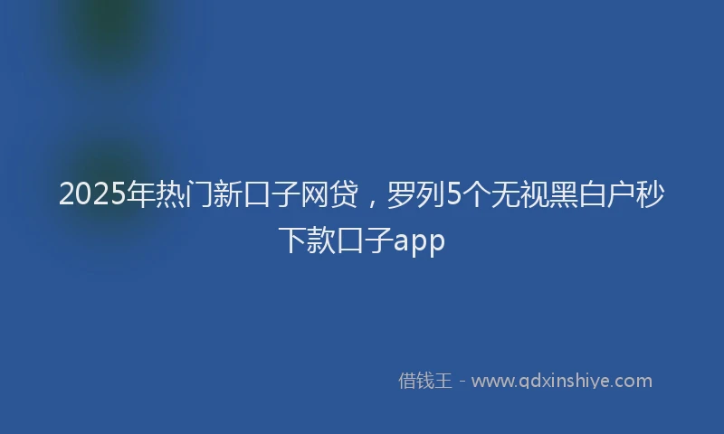 2025年热门新口子网贷，罗列5个无视黑白户秒下款口子app