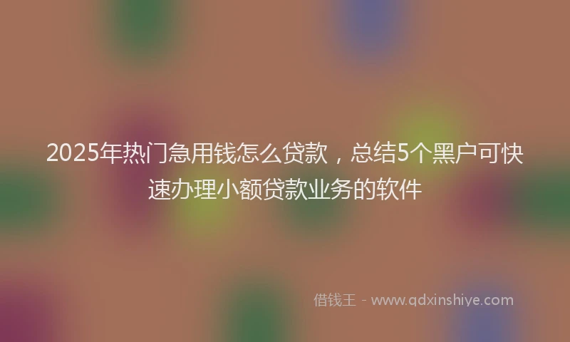 2025年热门急用钱怎么贷款，总结5个黑户可快速办理小额贷款业务的软件