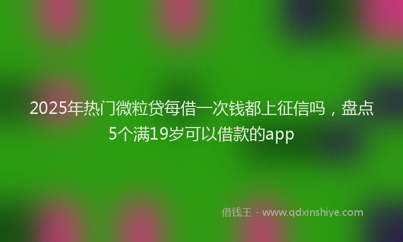 2025年热门微粒贷每借一次钱都上征信吗，盘点5个满19岁可以借款的app
