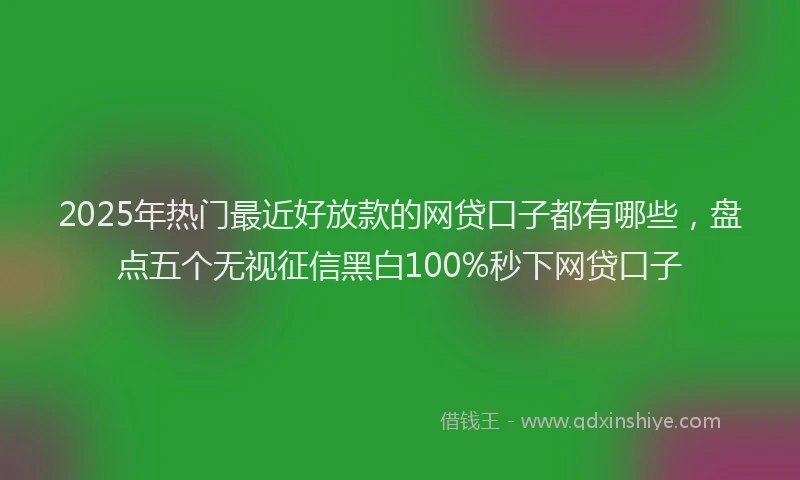 2025年热门最近好放款的网贷口子都有哪些，盘点五个无视征信黑白100%秒下网贷口子