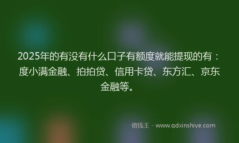 2025年的有没有什么口子有额度就能提现的有：度小满金融、拍拍贷、信用卡贷、东方汇、京东金融等。