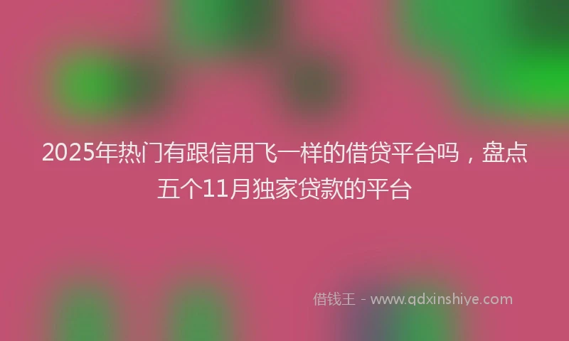 2025年热门有跟信用飞一样的借贷平台吗，盘点五个11月独家贷款的平台