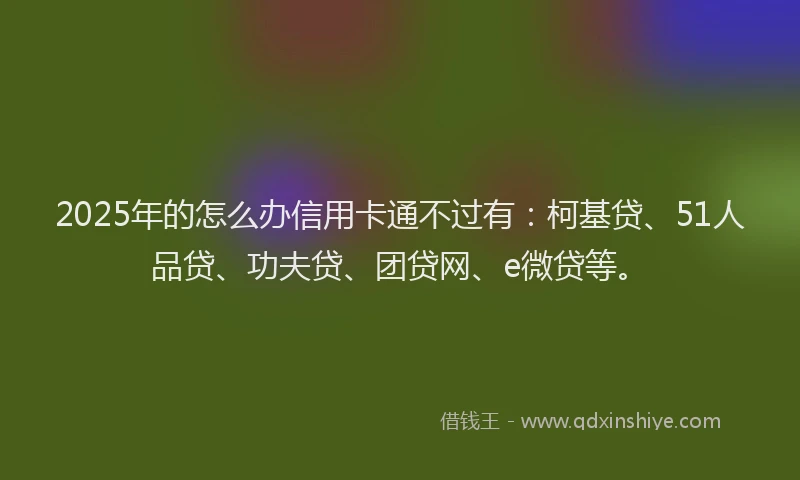 2025年的怎么办信用卡通不过有：柯基贷、51人品贷、功夫贷、团贷网、e微贷等。