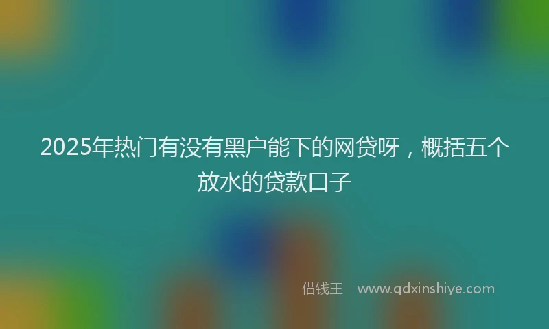 2025年热门有没有黑户能下的网贷呀，概括五个放水的贷款口子