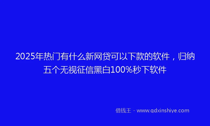 2025年热门有什么新网贷可以下款的软件，归纳五个无视征信黑白100%秒下软件