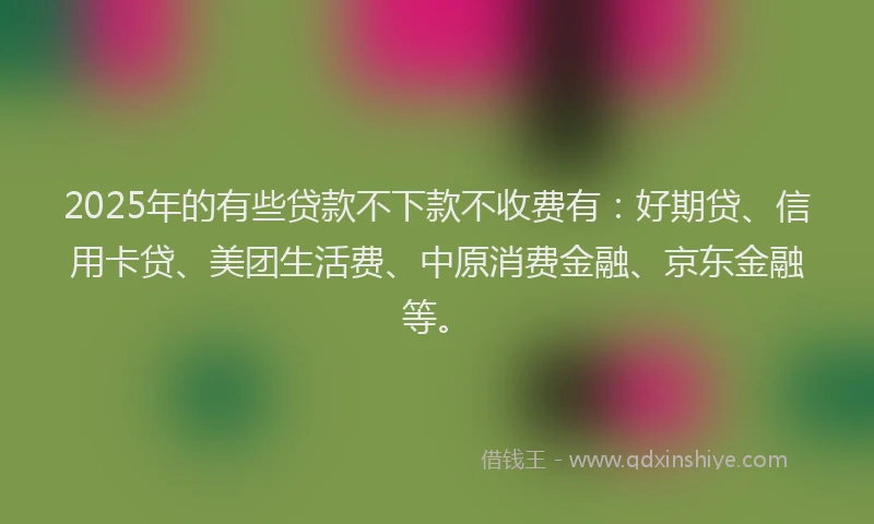 2025年的有些贷款不下款不收费有：好期贷、信用卡贷、美团生活费、中原消费金融、京东金融等。