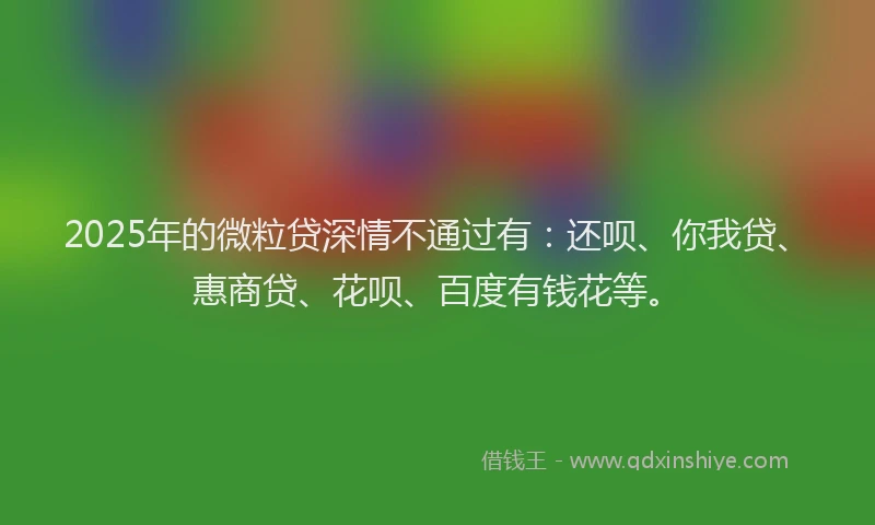 2025年的微粒贷深情不通过有：还呗、你我贷、惠商贷、花呗、百度有钱花等。