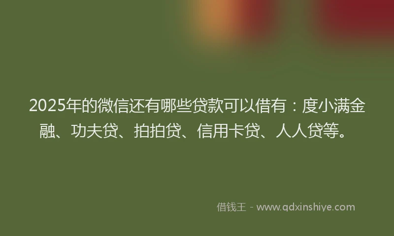 2025年的微信还有哪些贷款可以借有：度小满金融、功夫贷、拍拍贷、信用卡贷、人人贷等。