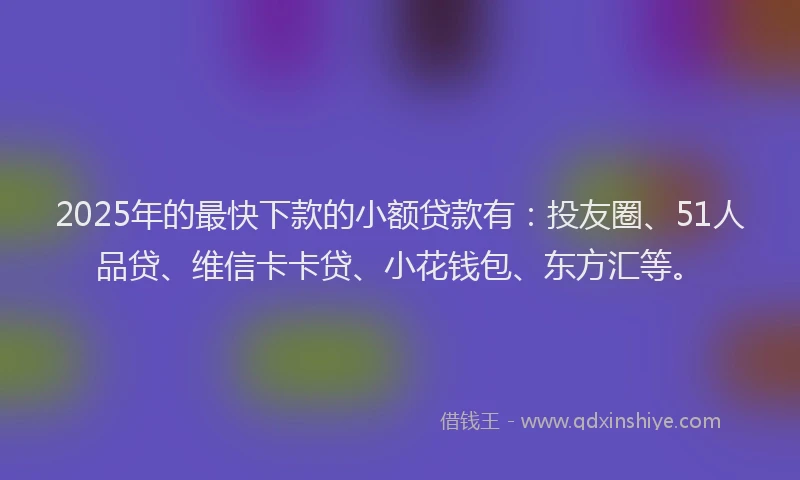 2025年的最快下款的小额贷款有：投友圈、51人品贷、维信卡卡贷、小花钱包、东方汇等。