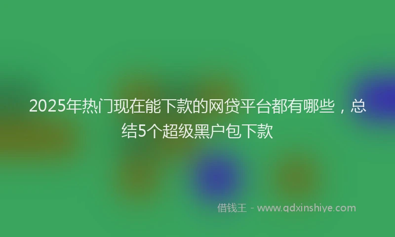 2025年热门现在能下款的网贷平台都有哪些，总结5个超级黑户包下款