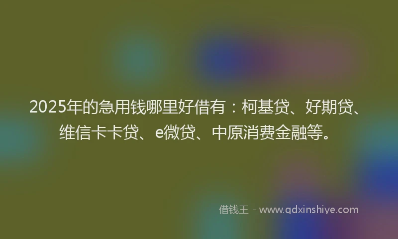 2025年的急用钱哪里好借有：柯基贷、好期贷、维信卡卡贷、e微贷、中原消费金融等。
