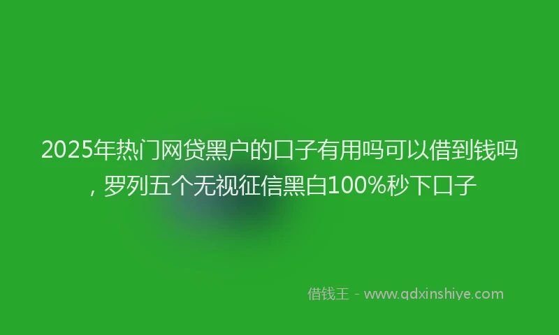 2025年热门网贷黑户的口子有用吗可以借到钱吗，罗列五个无视征信黑白100%秒下口子