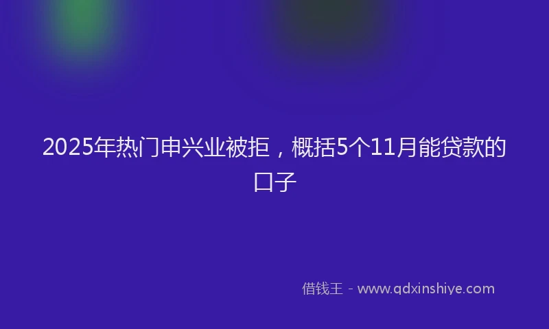 2025年热门申兴业被拒，概括5个11月能贷款的口子