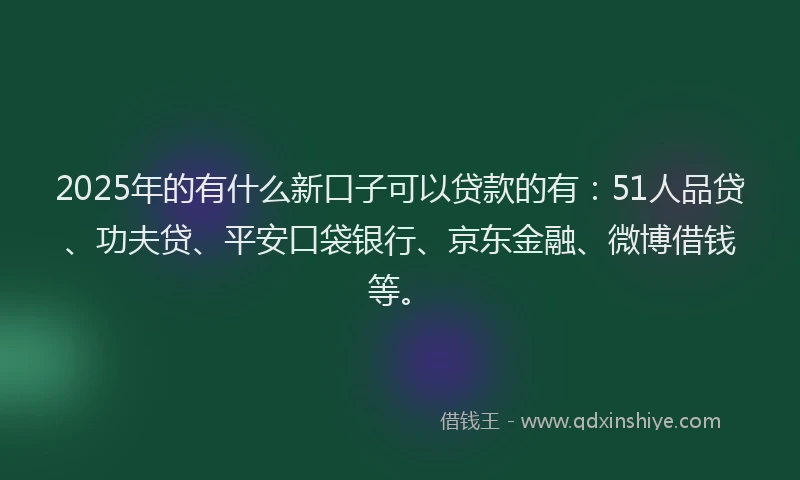 2025年的有什么新口子可以贷款的有：51人品贷、功夫贷、平安口袋银行、京东金融、微博借钱等。