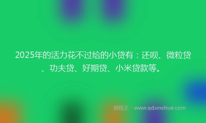 2025年的活力花不过给的小贷有：还呗、微粒贷、功夫贷、好期贷、小米贷款等。