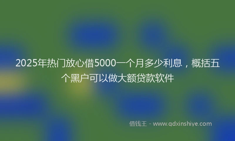 2025年热门放心借5000一个月多少利息，概括五个黑户可以做大额贷款软件