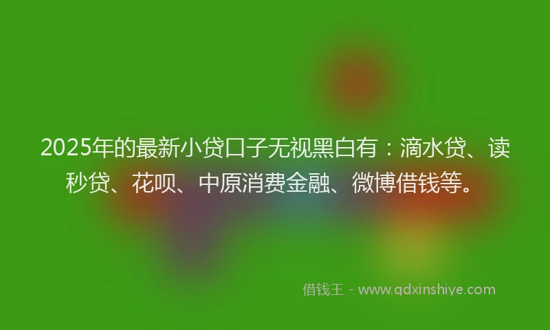 2025年的最新小贷口子无视黑白有：滴水贷、读秒贷、花呗、中原消费金融、微博借钱等。