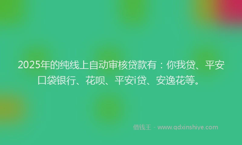 2025年的纯线上自动审核贷款有：你我贷、平安口袋银行、花呗、平安i贷、安逸花等。
