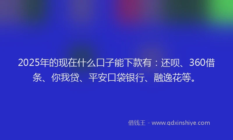 2025年的现在什么口子能下款有：还呗、360借条、你我贷、平安口袋银行、融逸花等。
