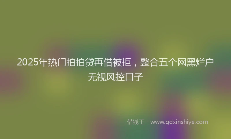 2025年热门拍拍贷再借被拒，整合五个网黑烂户无视风控口子
