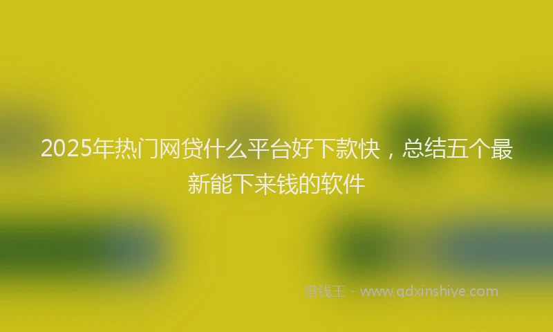 2025年热门网贷什么平台好下款快，总结五个最新能下来钱的软件