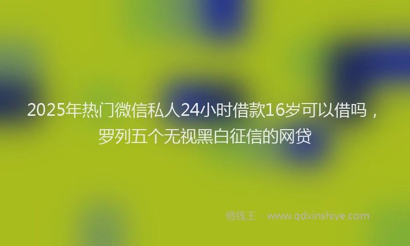 2025年热门微信私人24小时借款16岁可以借吗，罗列五个无视黑白征信的网贷