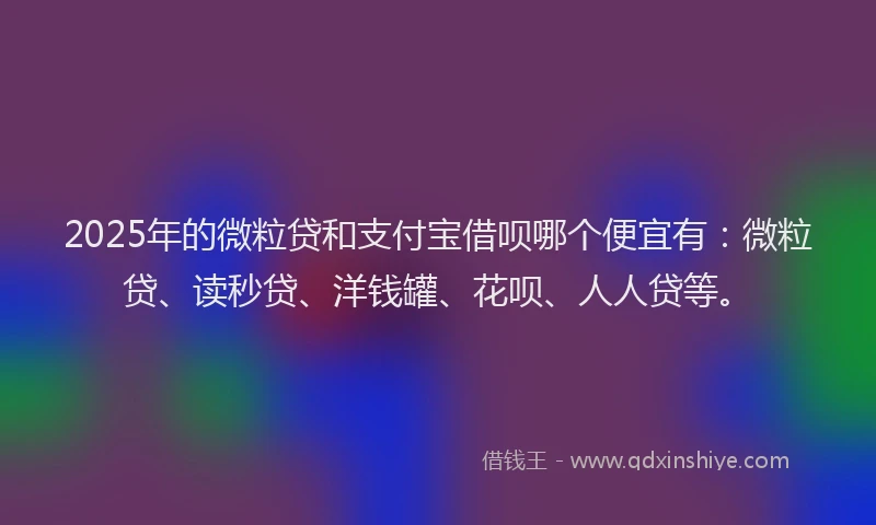 2025年的微粒贷和支付宝借呗哪个便宜有：微粒贷、读秒贷、洋钱罐、花呗、人人贷等。