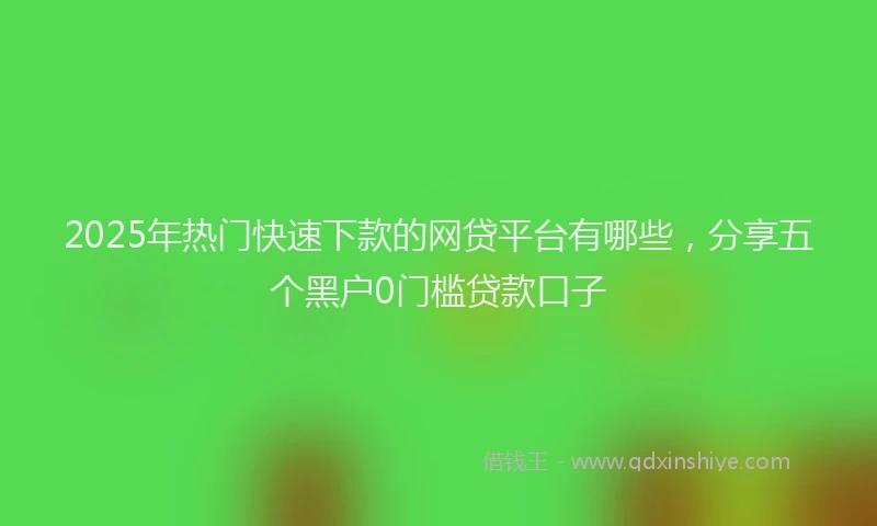 2025年热门快速下款的网贷平台有哪些，分享五个黑户0门槛贷款口子