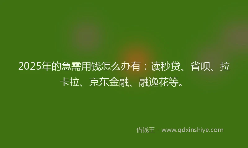 2025年的急需用钱怎么办有：读秒贷、省呗、拉卡拉、京东金融、融逸花等。