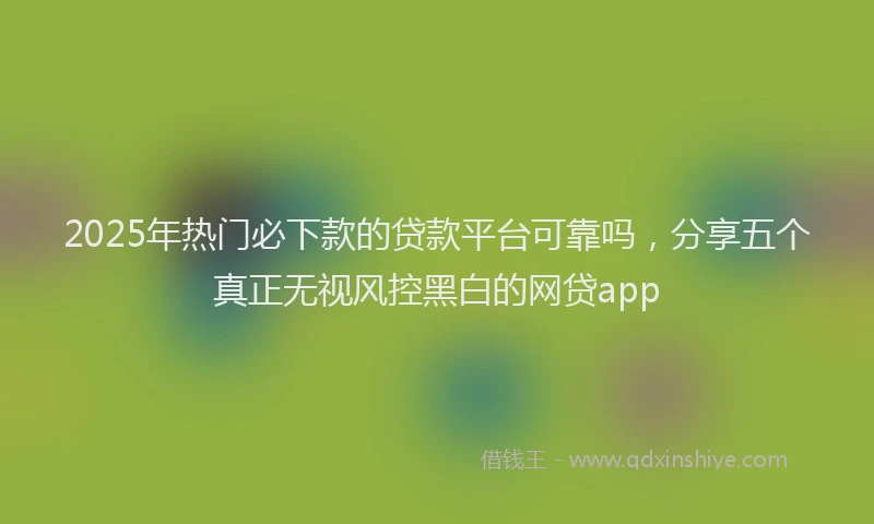 2025年热门必下款的贷款平台可靠吗，分享五个真正无视风控黑白的网贷app