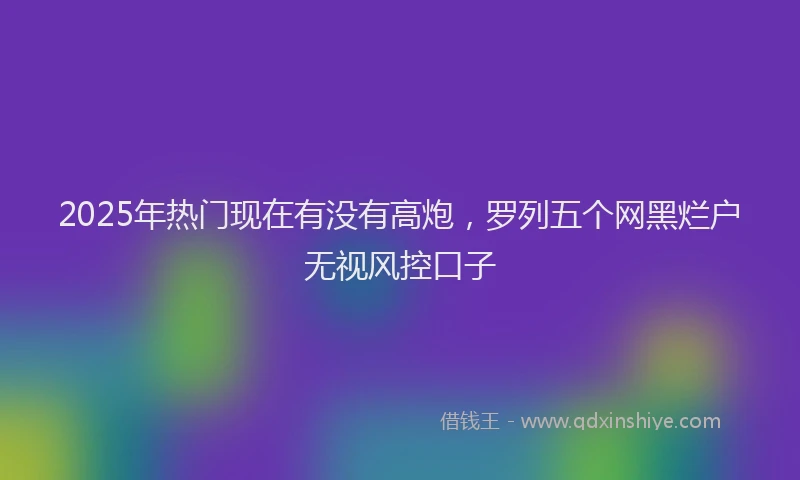 2025年热门现在有没有高炮，罗列五个网黑烂户无视风控口子