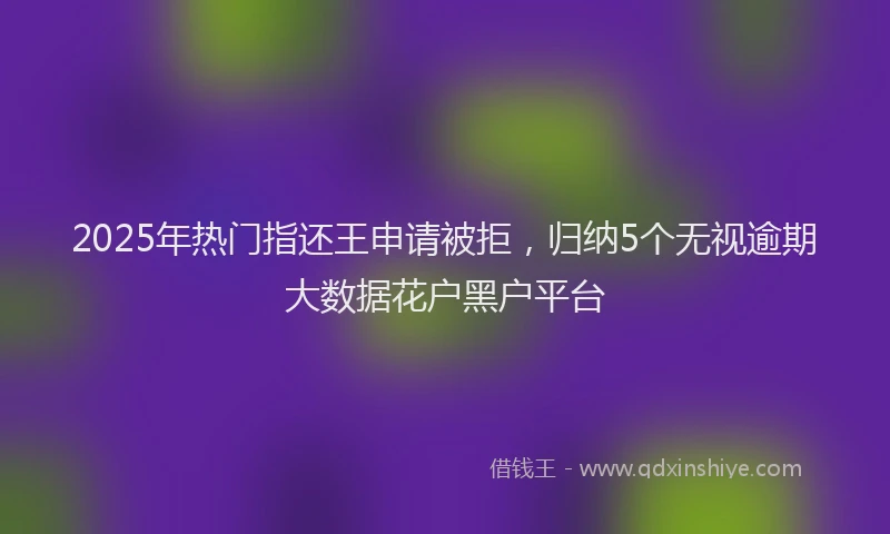 2025年热门指还王申请被拒，归纳5个无视逾期大数据花户黑户平台