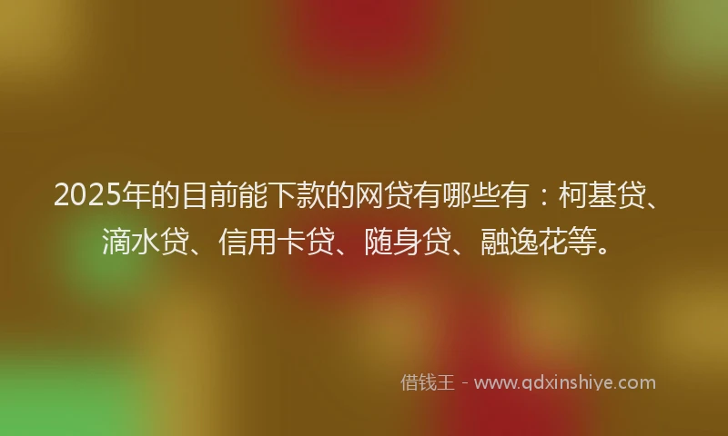 2025年的目前能下款的网贷有哪些有：柯基贷、滴水贷、信用卡贷、随身贷、融逸花等。
