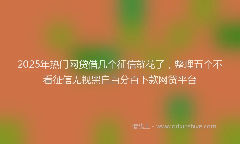 2025年热门网贷借几个征信就花了，整理五个不看征信无视黑白百分百下款网贷平台