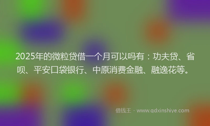 2025年的微粒贷借一个月可以吗有：功夫贷、省呗、平安口袋银行、中原消费金融、融逸花等。