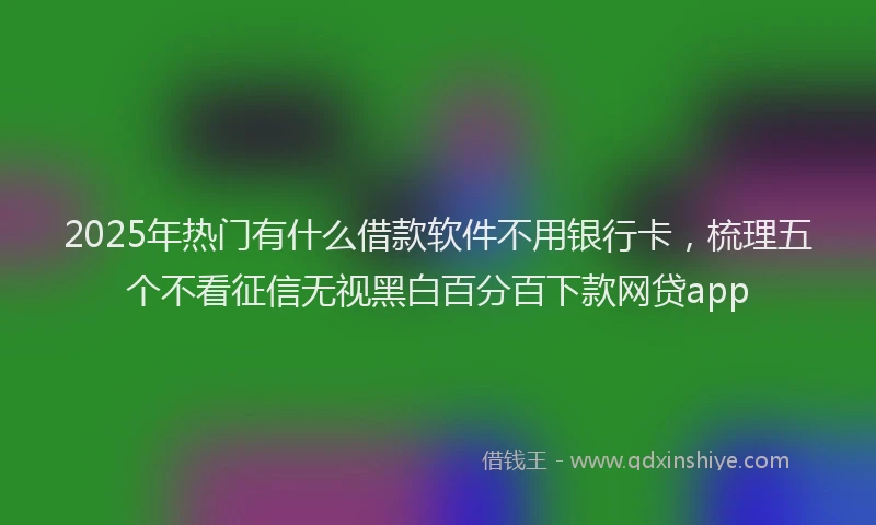 2025年热门有什么借款软件不用银行卡，梳理五个不看征信无视黑白百分百下款网贷app