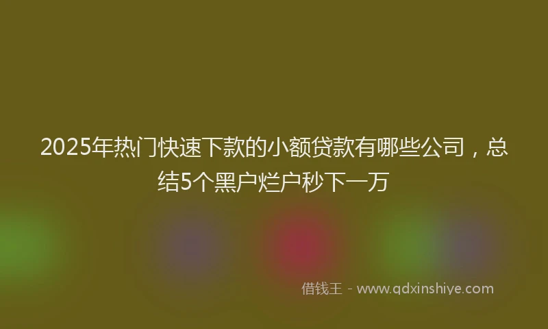 2025年热门快速下款的小额贷款有哪些公司，总结5个黑户烂户秒下一万