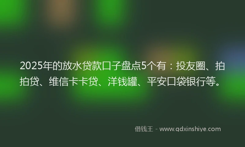 2025年的放水贷款口子盘点5个有：投友圈、拍拍贷、维信卡卡贷、洋钱罐、平安口袋银行等。