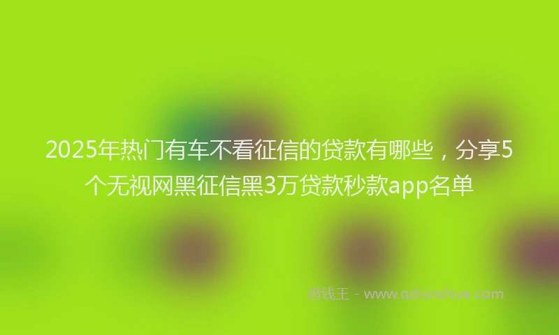 2025年热门有车不看征信的贷款有哪些，分享5个无视网黑征信黑3万贷款秒款app名单