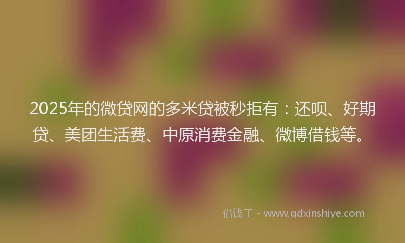 2025年的微贷网的多米贷被秒拒有：还呗、好期贷、美团生活费、中原消费金融、微博借钱等。