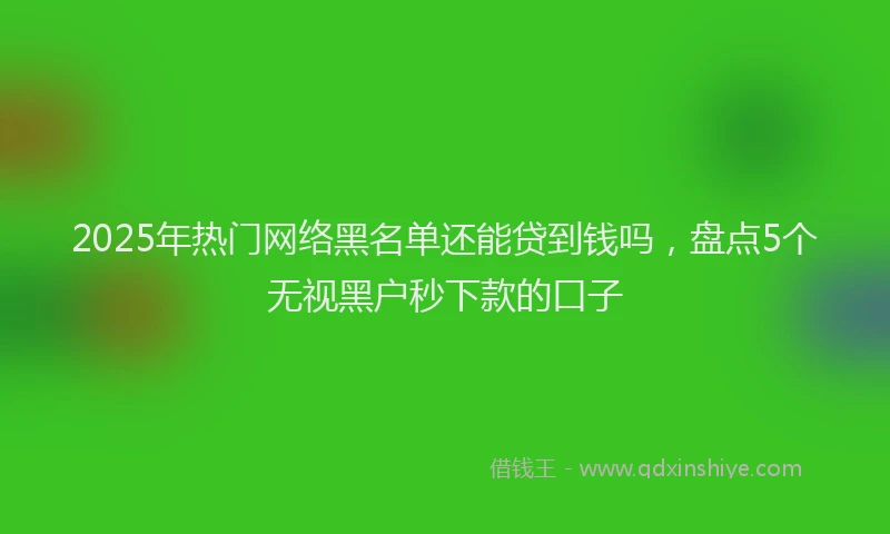 2025年热门网络黑名单还能贷到钱吗，盘点5个无视黑户秒下款的口子