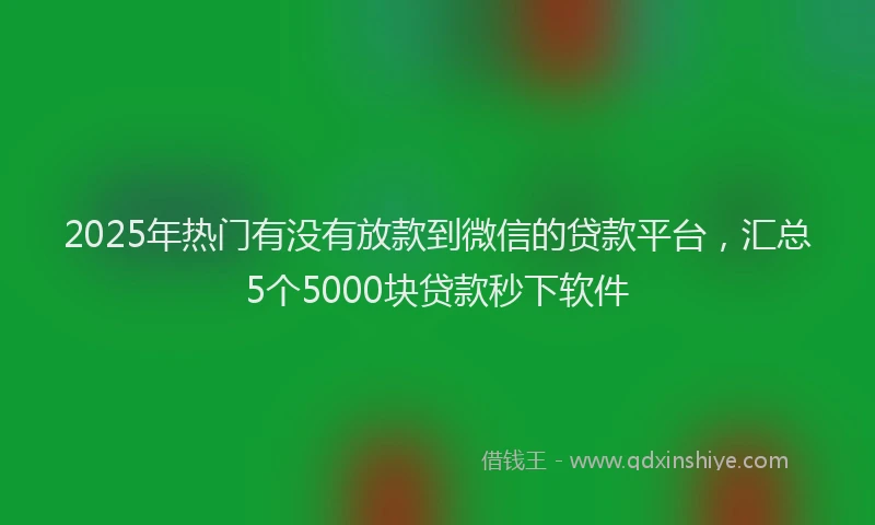 2025年热门有没有放款到微信的贷款平台，汇总5个5000块贷款秒下软件