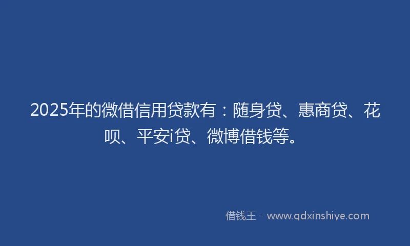 2025年的微借信用贷款有：随身贷、惠商贷、花呗、平安i贷、微博借钱等。